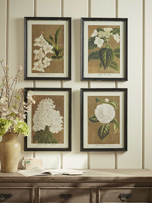 Four Aged Effect Floral Framed Prints