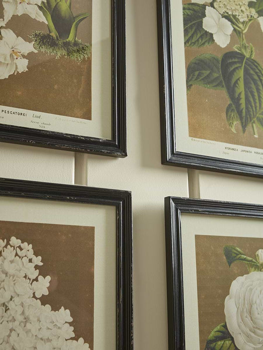 Four Aged Effect Floral Framed Prints