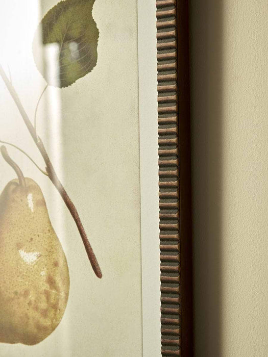 Four Pear Framed Prints