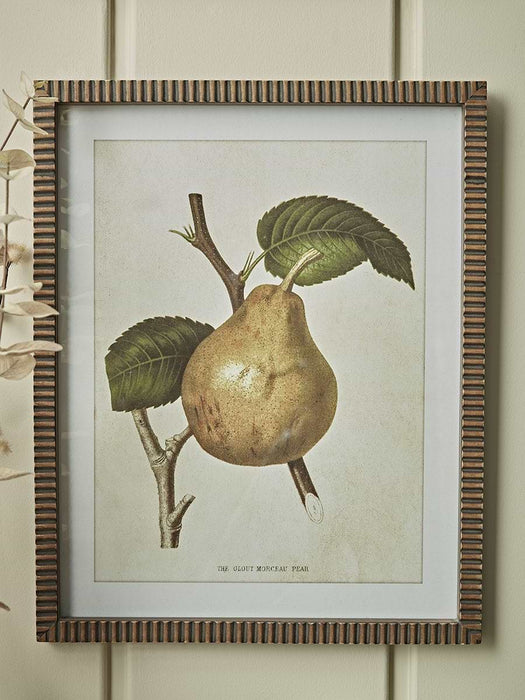 Four Pear Framed Prints