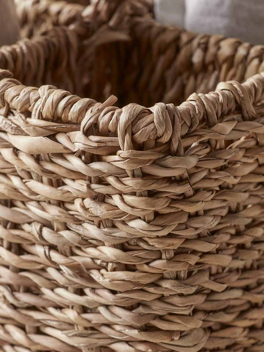 Seagrass Storage Caddy