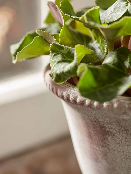 Aged Effect Ceramic Planter