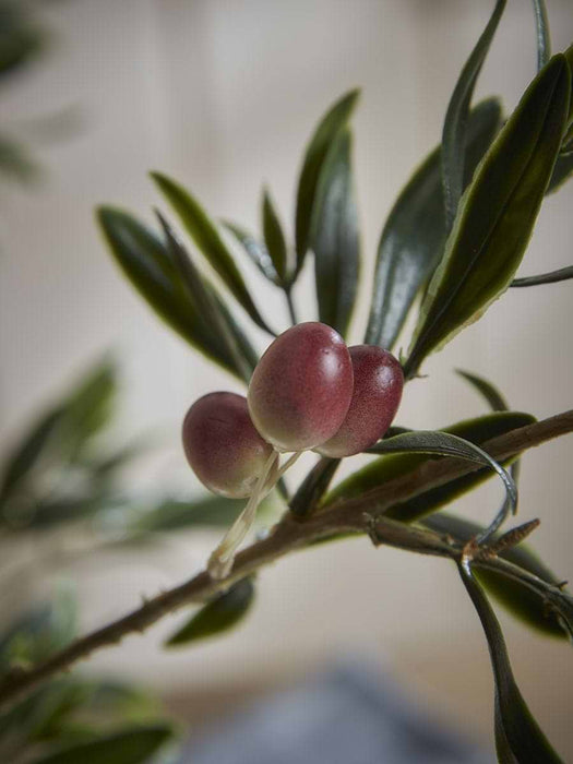 Three Faux Fruiting Olive Sprays
