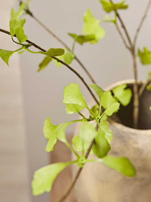 Three Faux Gingko Leaf Sprays