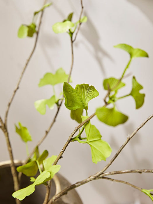 Three Faux Gingko Leaf Sprays