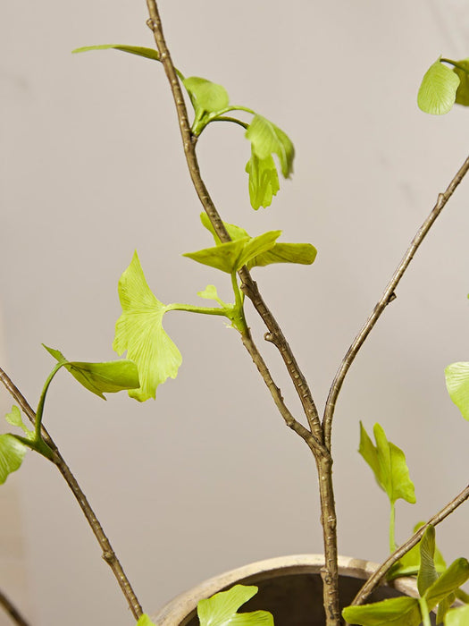 Three Faux Gingko Leaf Sprays