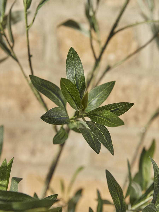Faux Potted Fruiting Olive Tree - Small