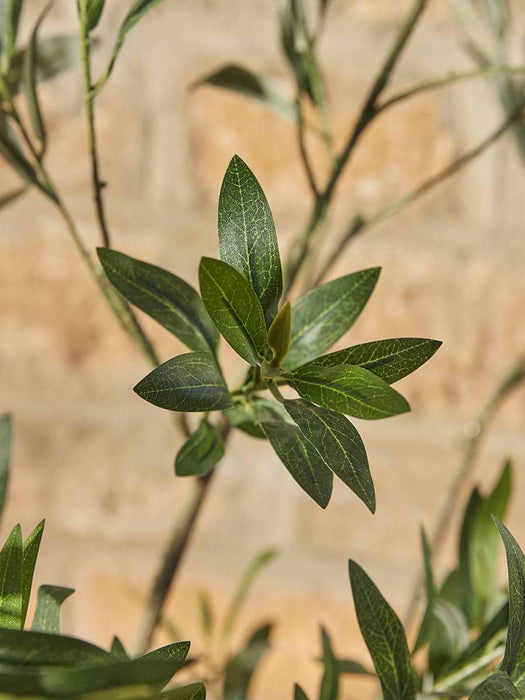 Faux Potted Fruiting Olive Tree - Small