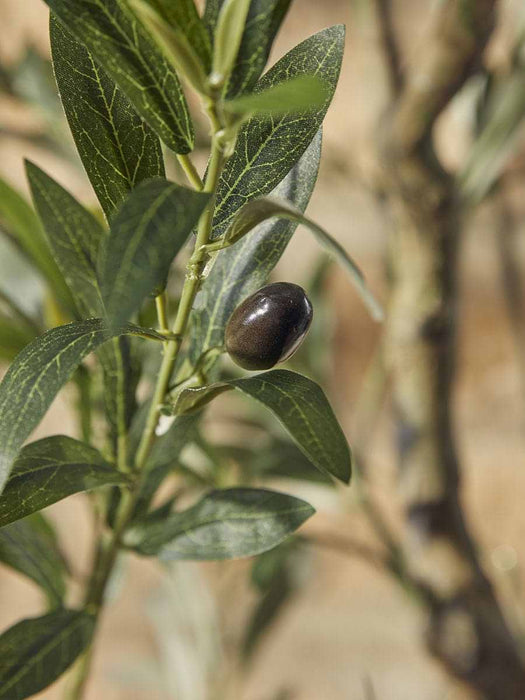 Faux Potted Fruiting Olive Tree - Small
