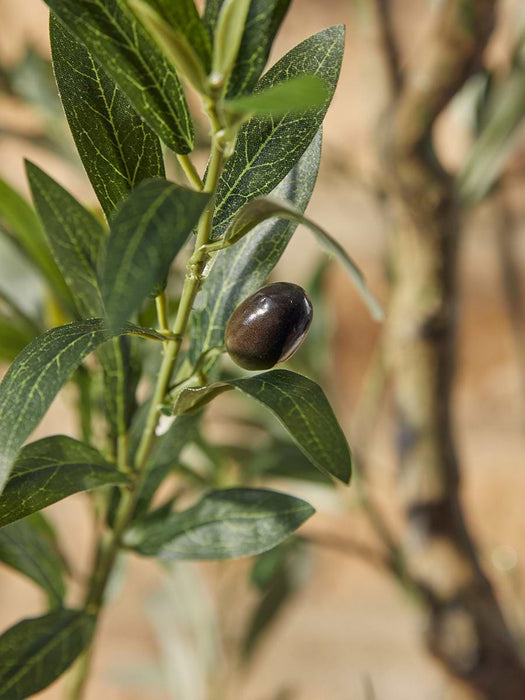Faux Potted Fruiting Olive Tree - Small