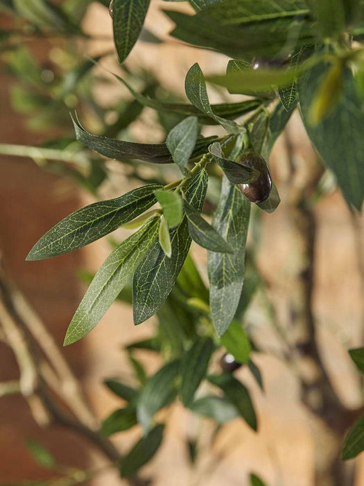 Faux Potted Fruiting Olive Tree - Small