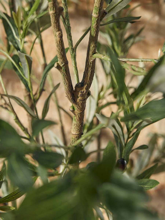 Faux Potted Fruiting Olive Tree - Small