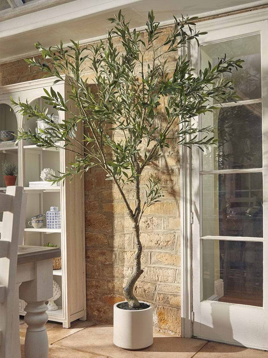 Faux Potted Fruiting Olive Tree - Small
