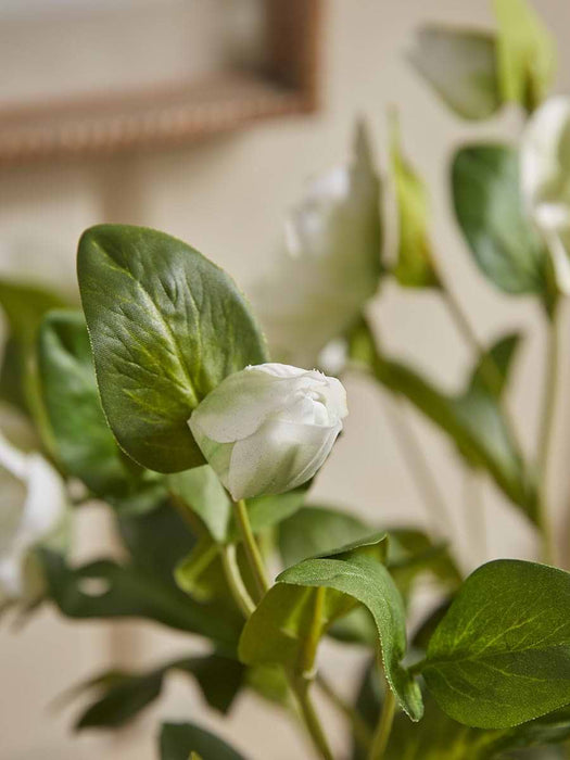 Faux Potted Hellebore - Cream