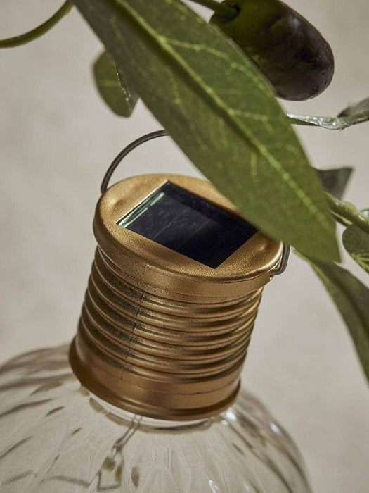 Twelve Fluted Solar Bulbs