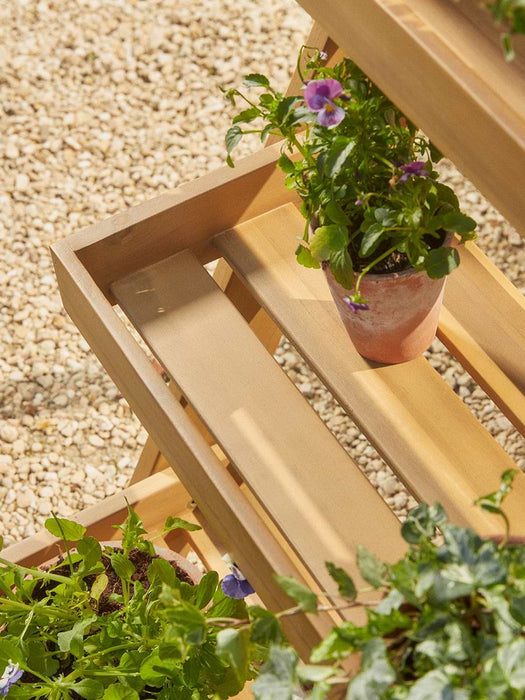 Acacia Plant Stand