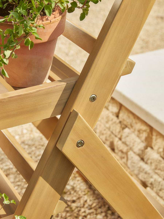 Acacia Plant Stand
