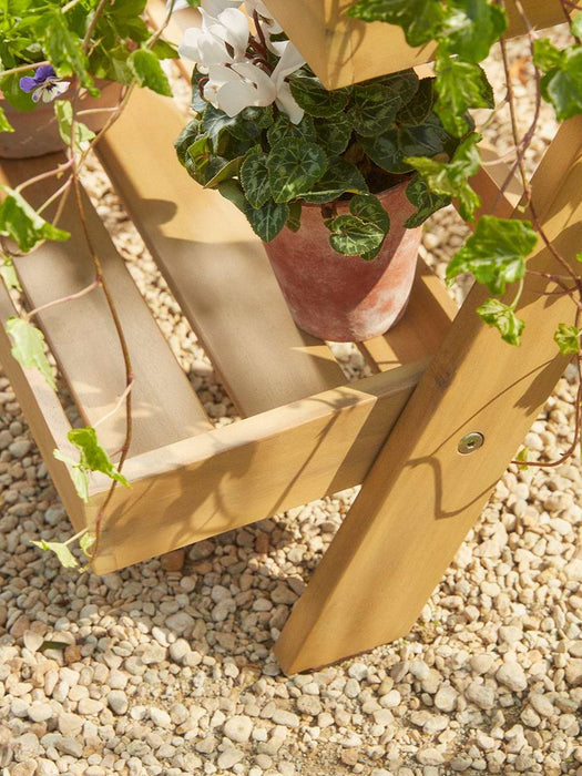 Acacia Plant Stand