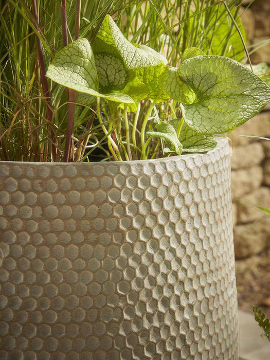 Three Honeycomb Planters - Hazel