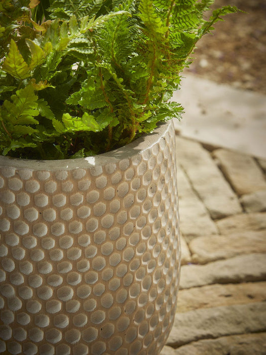 Three Honeycomb Planters - Hazel