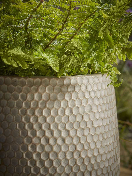 Three Honeycomb Planters - Hazel