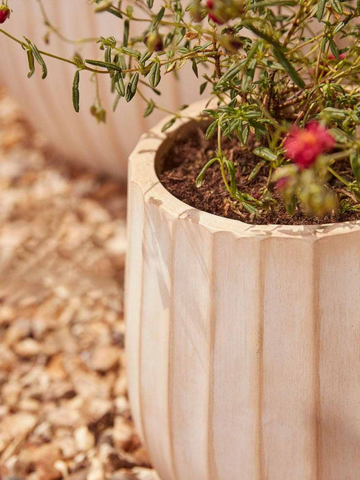 Three Sand Fluted Planters - Large