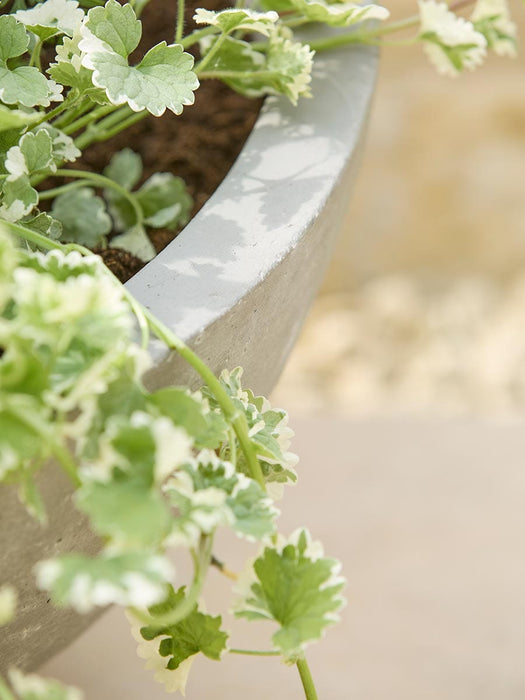 Alder Planter