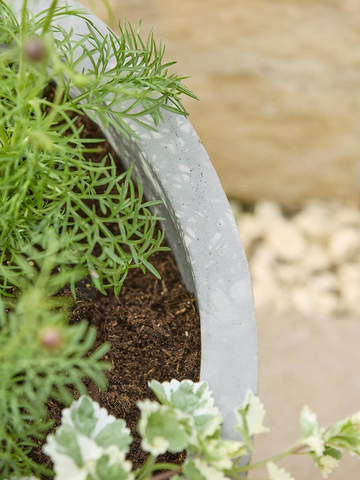 Alder Planter