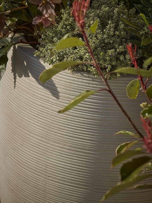 Two Panama Planters
