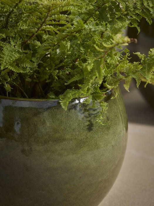 Three Glazed Olive Bowl Planters
