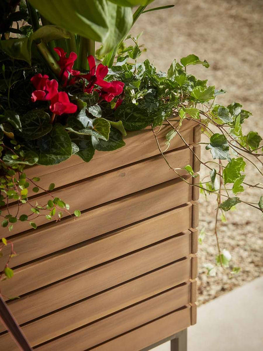 Acacia Trough - Small