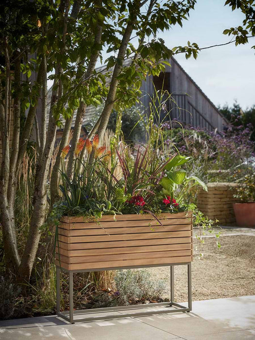 Acacia Trough - Small