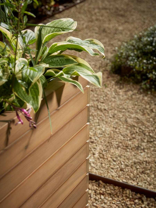 Salva Column Planter - Large
