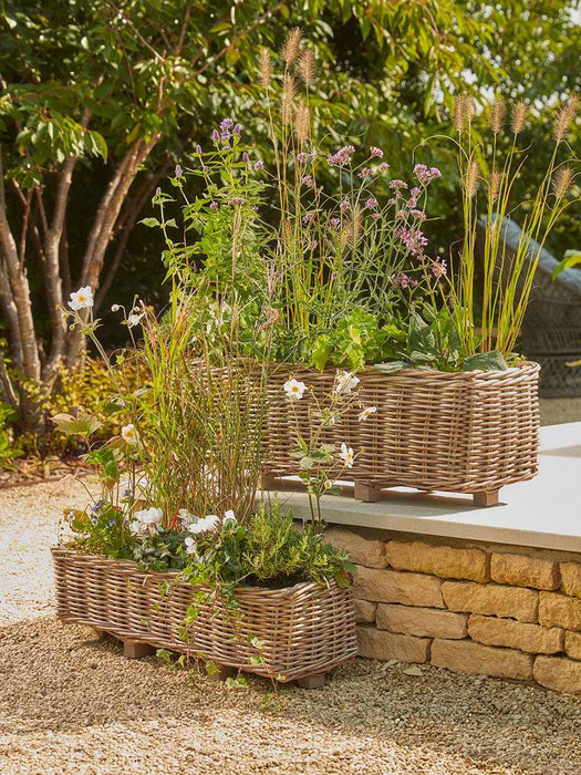 Two Indoor Outdoor Rattan Trough Planters