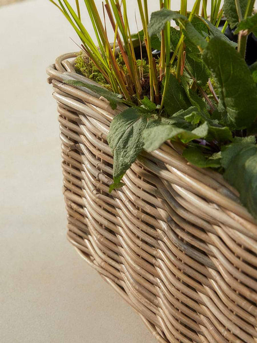 Two Indoor Outdoor Rattan Trough Planters