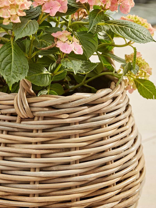 Two Indoor Outdoor Tapered Rattan Planters