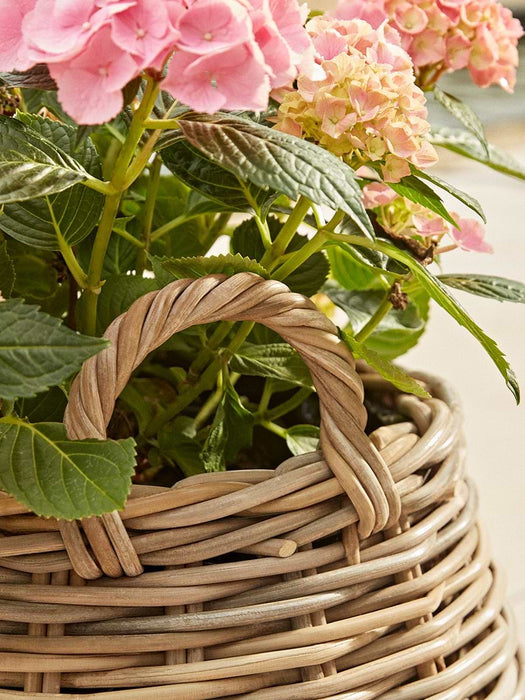 Two Indoor Outdoor Tapered Rattan Planters