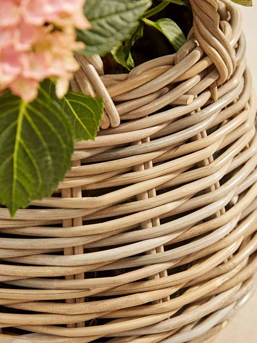 Two Indoor Outdoor Tapered Rattan Planters