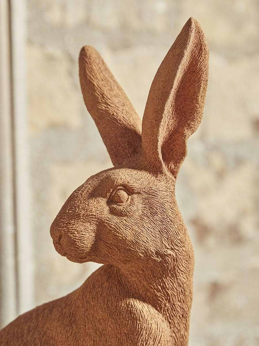 Rusty Hare