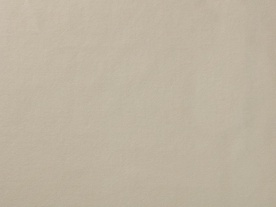 Reine Two Seater Sofa â€“ Seashell Opulent Cotton Velvet
