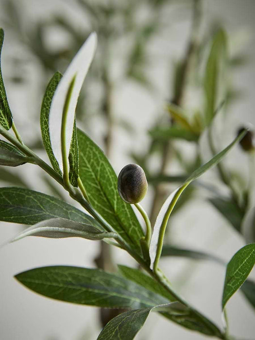 Faux Potted Fruiting Olive Tree - Large