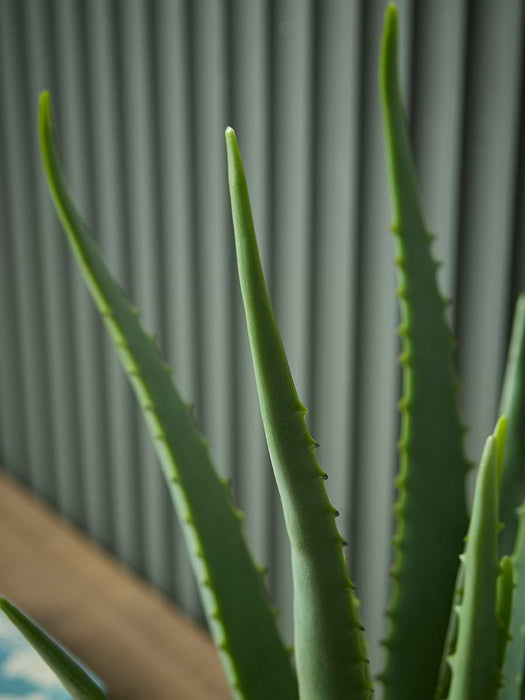 Faux Potted Aloe Vera