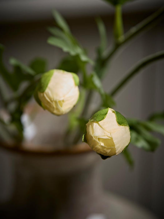 Three Faux Ranunculus Stems - Apricot