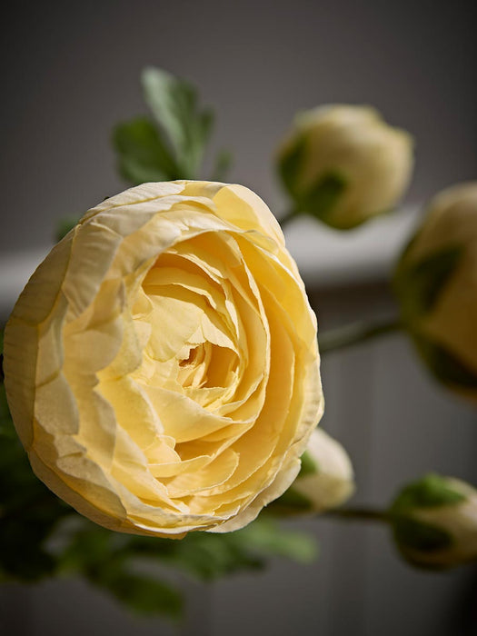 Three Faux Ranunculus Stems - Apricot