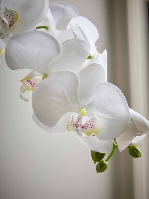 Faux Potted Wild Orchid - Small