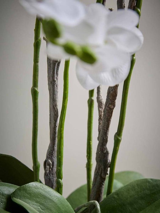 Faux Potted Wild Orchid - Small