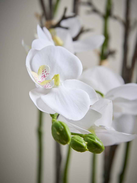 Faux Potted Wild Orchid - Small