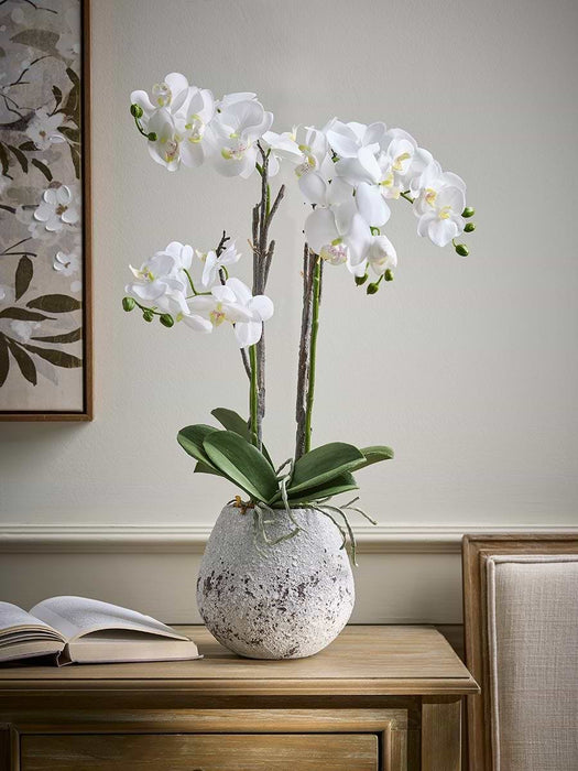 Faux Potted Wild Orchid - Small