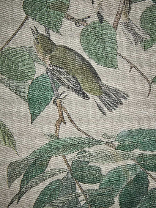 Printed Linen Warblers Beaded Frame