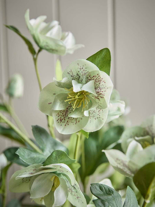 Faux Potted Large Hellebore - Green